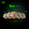 B25-Venus
